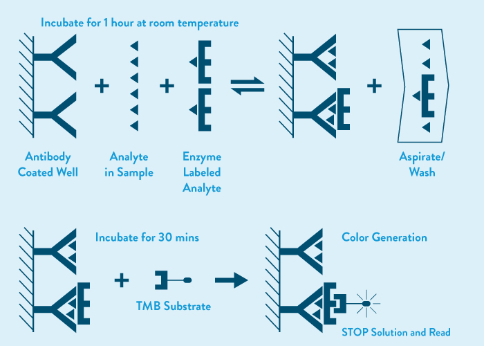 Elisa infographic